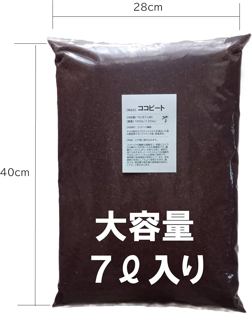 71V+2DG7K3L._AC_UF1000,